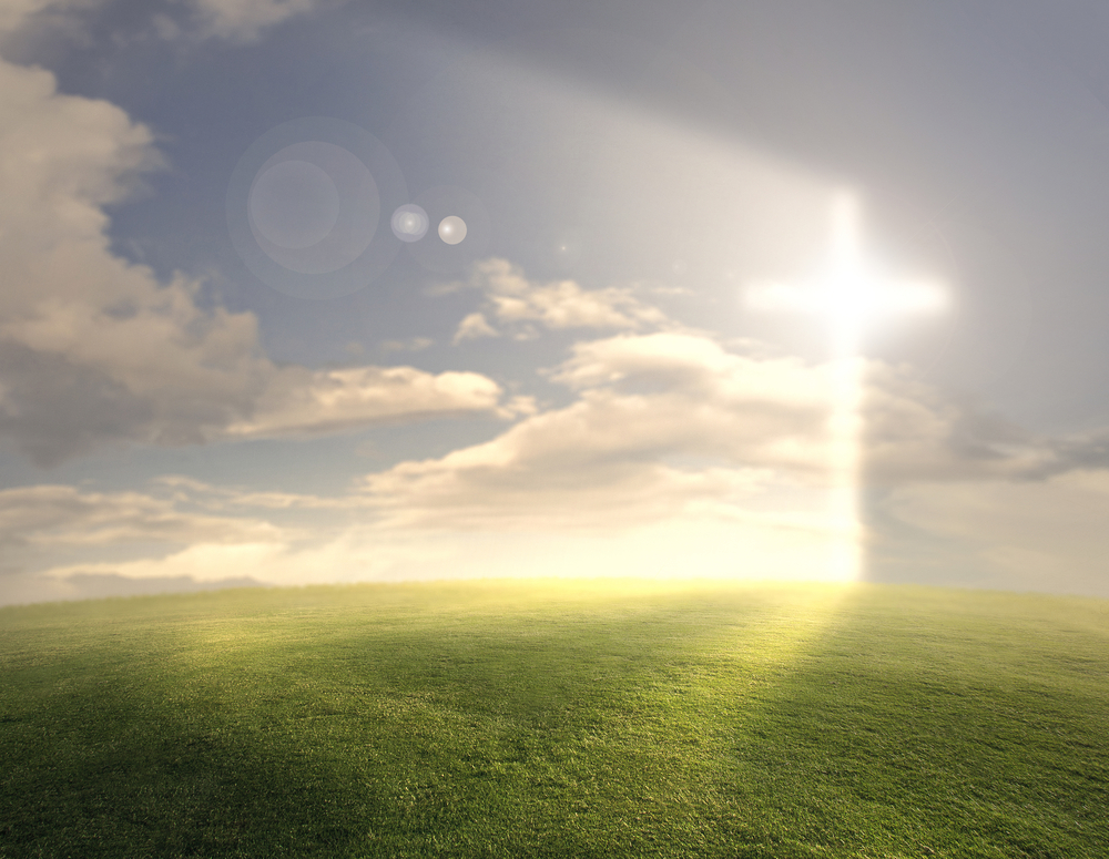 Hope in the Midst of Grief