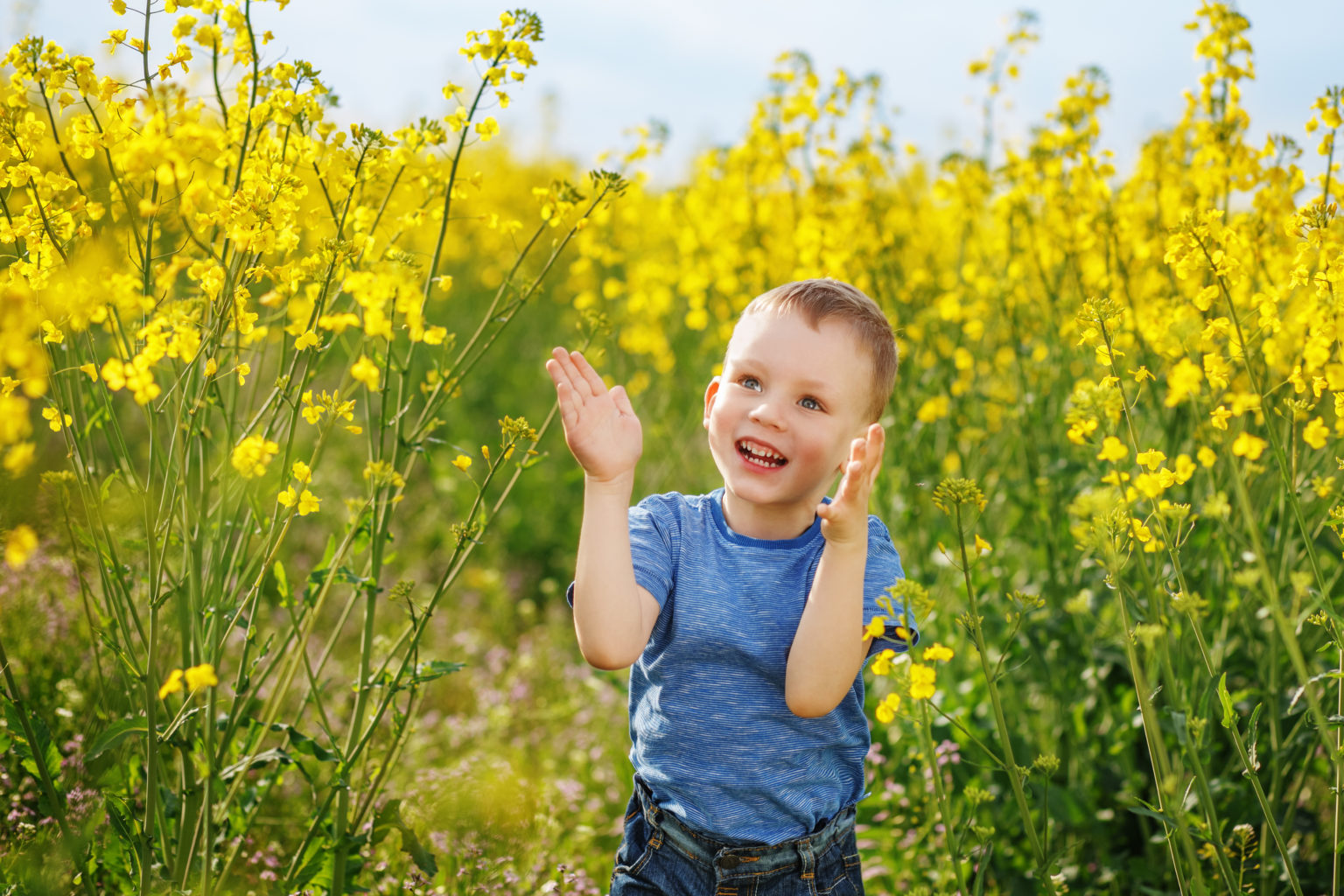 To Have Joy is to Frolic!